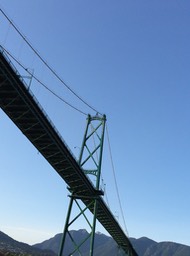 IMG_0231