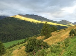 IMG_0328