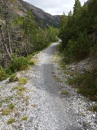 IMG_0344