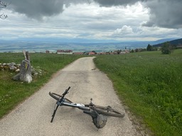 IMG_0489.jpeg