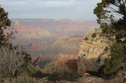 IMG_0542.jpg