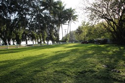 IMG_0795.jpg
