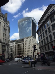 IMG_0806.jpg