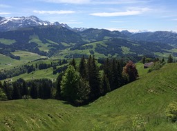 IMG_0870.jpg