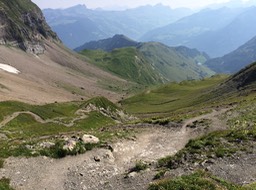 IMG_0965.jpg