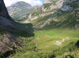 IMG_0974.jpg
