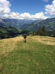 IMG_1011.jpg