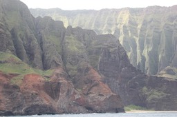 IMG_1146.jpg