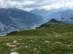IMG_1507.jpg