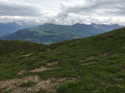 IMG_1508.jpg