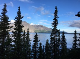 IMG_1546.jpg