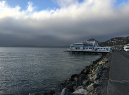 IMG_1594.jpg
