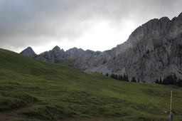 IMG_2074.jpg