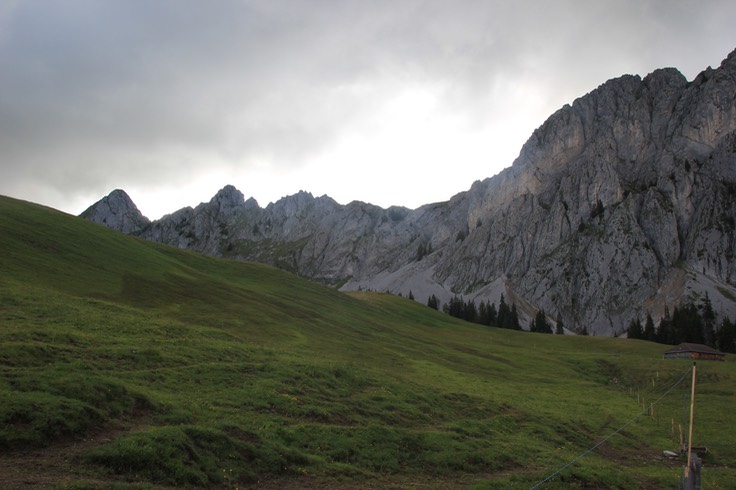 IMG_2074.jpg