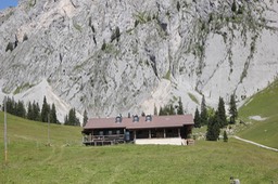 IMG_2136.jpg