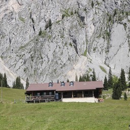 IMG_2136.jpg