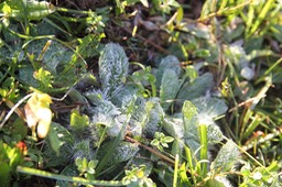 IMG_2295.jpg