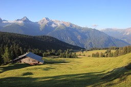 IMG_2297.jpg