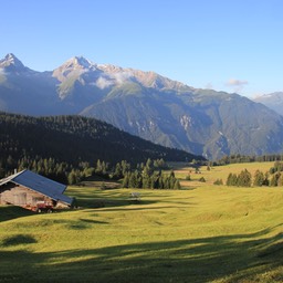 IMG_2297.jpg