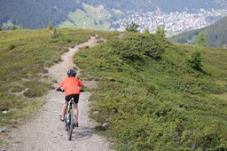 IMG_2370.jpg