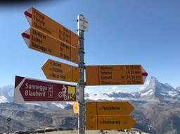 IMG_3673.jpg