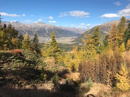 IMG_3746.jpg
