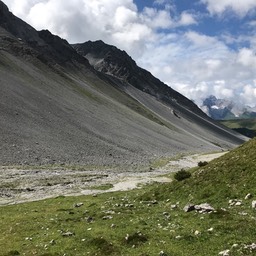 IMG_4802.jpeg