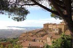 Volterra