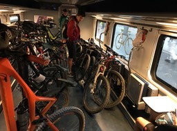 IMG_5010.jpeg