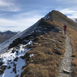 IMG_5059.jpeg