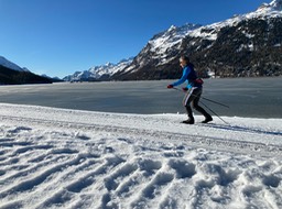 IMG_6541