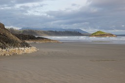 IMG_6553