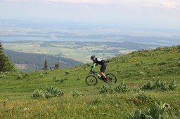 IMG_6642.jpg