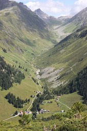 IMG_6833