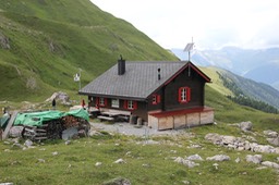 IMG_6875