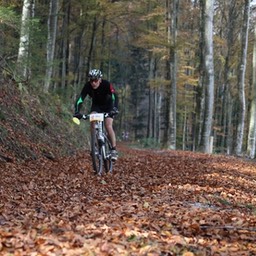 IMG_7211 - Arbeitskopie 2