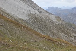 IMG_7490