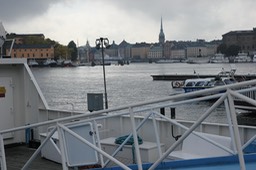 IMG_7546