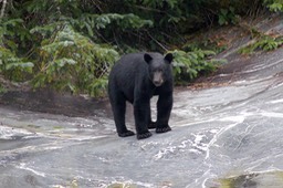 IMG_9281.jpg