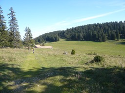 L1000980.jpg