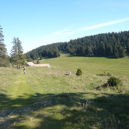 L1000980.jpg