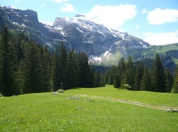 L1010318.jpg