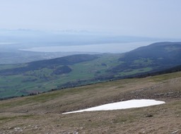 L1020288.jpg