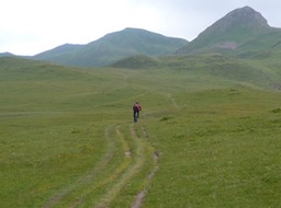 L1020521.jpg