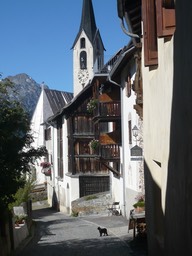 L1020804.jpg