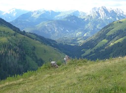 L1030535.jpg